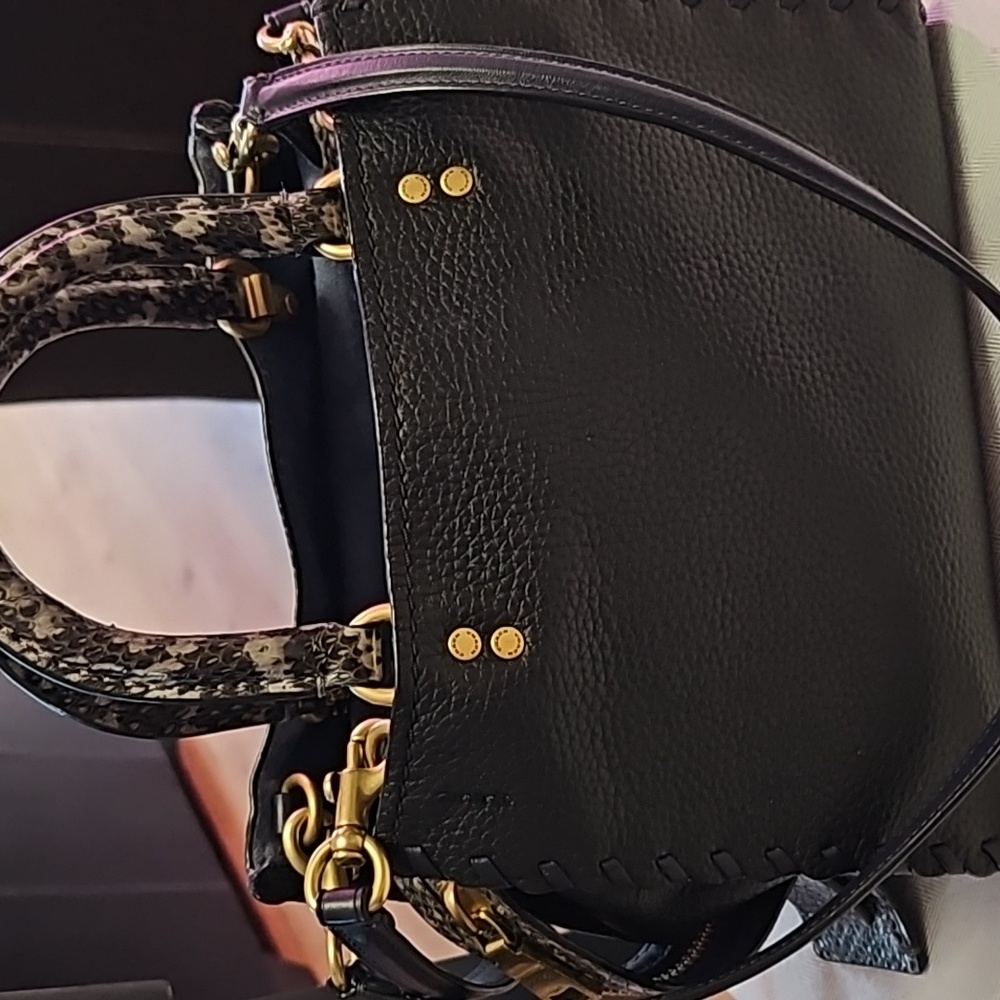 Rouge 25 with whipstich snakeskin details .